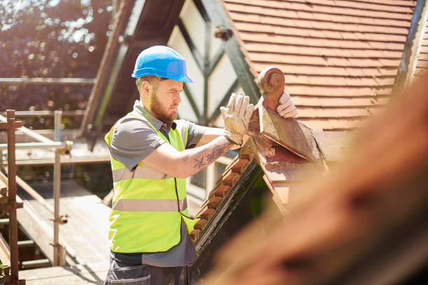 Best Roof Gutter Cleaning  in Pulaski, NY